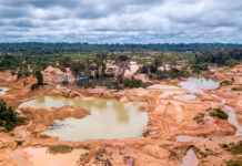 Fiebre del oro: exigen a EEUU detener la minería ilegal en Venezuela la cual genera hasta $12.000 millones anuales Minería - minas