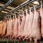 Carne de cerdito