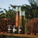 FRUTA ACEITE Grupo San Simón