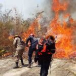 incendio-forestal